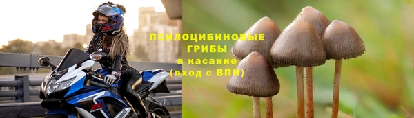 меф Алзамай