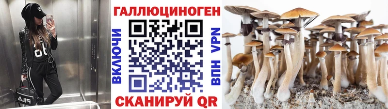 Псилоцибиновые грибы GOLDEN TEACHER  Владивосток 
