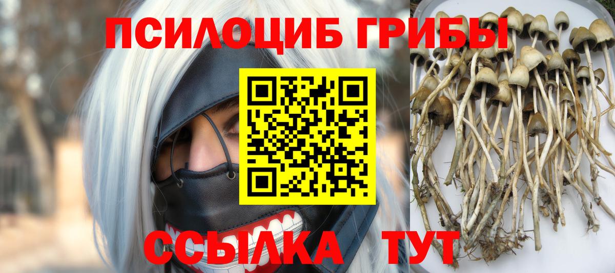 Владивосток  Псилоцибиновые грибы MAGIC MUSHROOMS  Вход с VPN  Псилоцибиновые грибы Psilocybine cubensis 